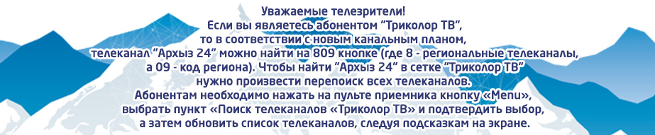 242.jpg